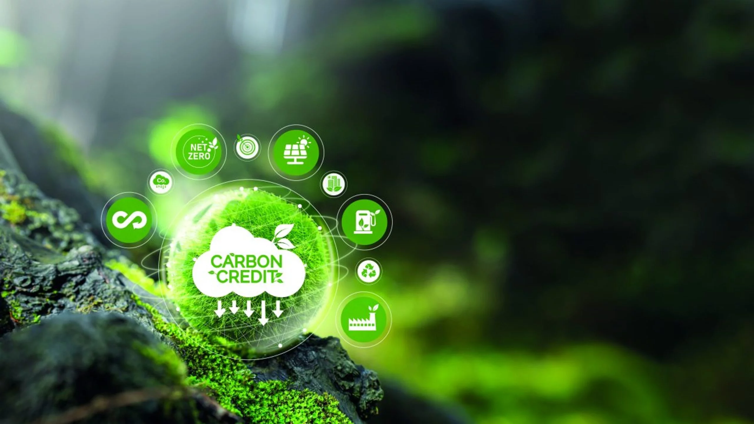 DỰ ÁN TÍN CHỈ CARBON & I-REC