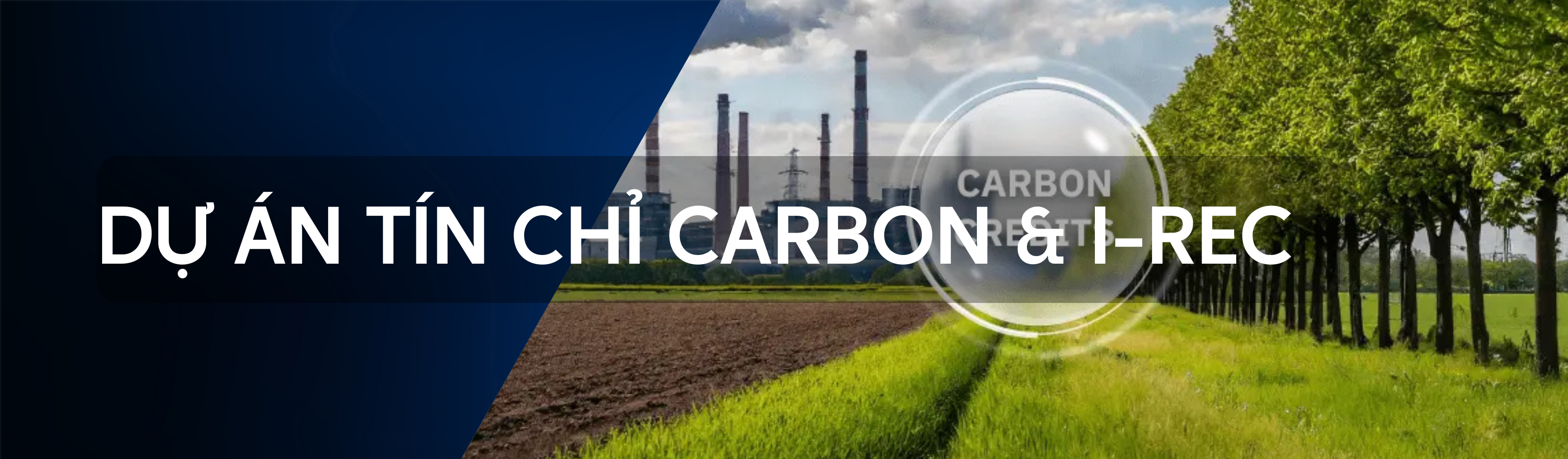 DỰ ÁN TÍN CHỈ CARBON & I-REC
