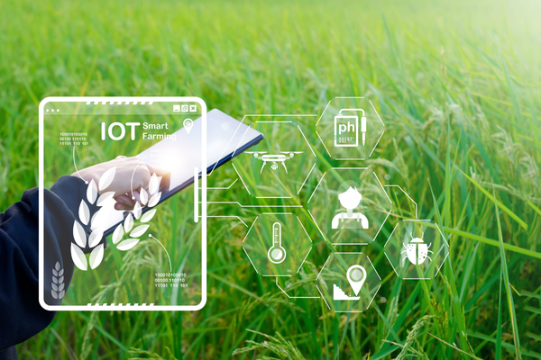 GIẢI PHÁP AIOT CHO TRANG TRẠI THÔNG MINH (SENSOR + ĐIỀU KHIỂN TỰ ĐỘNG)