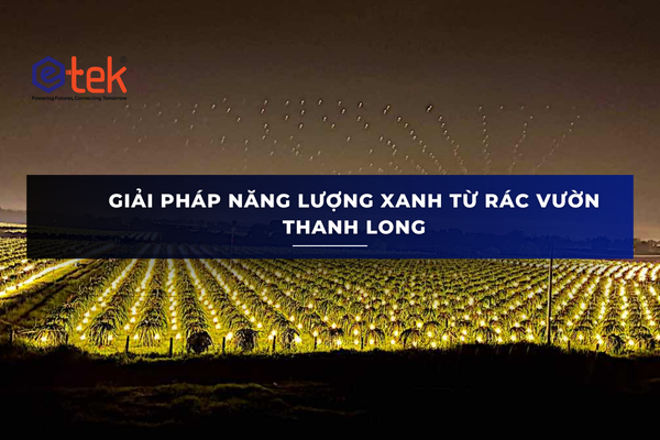 GIẢI PHÁP NĂNG LƯỢNG XANH TỪ RÁC VƯỜN THANH LONG