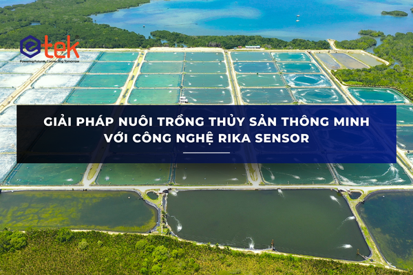 GIẢI PHÁP NUÔI TRỒNG THỦY SẢN THÔNG MINH VỚI CÔNG NGHỆ RIKA SENSOR