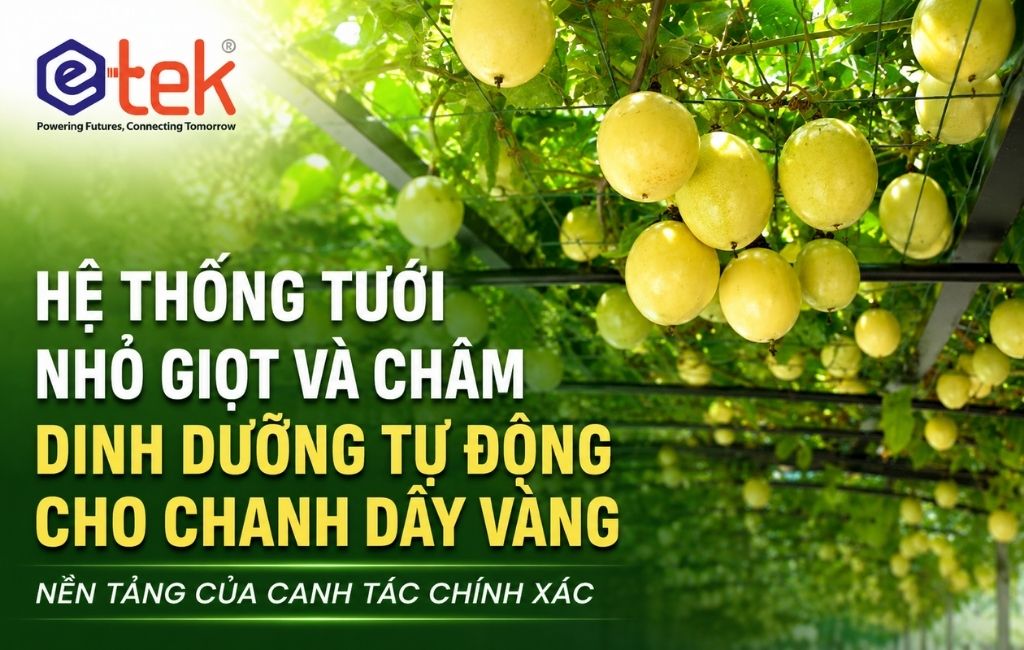 Hệ Thống Tưới Nhỏ Giọt & Châm Dinh Dưỡng Tự Động Cho Chanh Dây