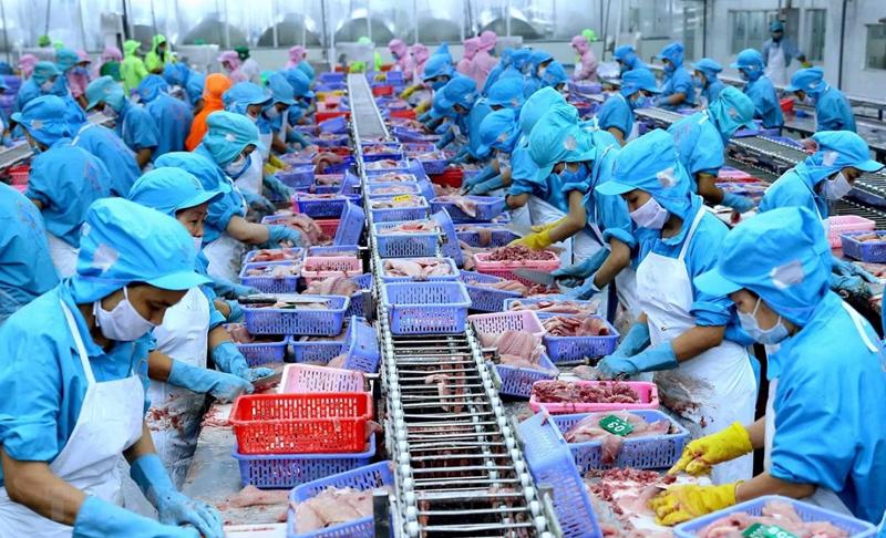 Xuất khẩu thuỷ sản cán đích 10 tỷ USD