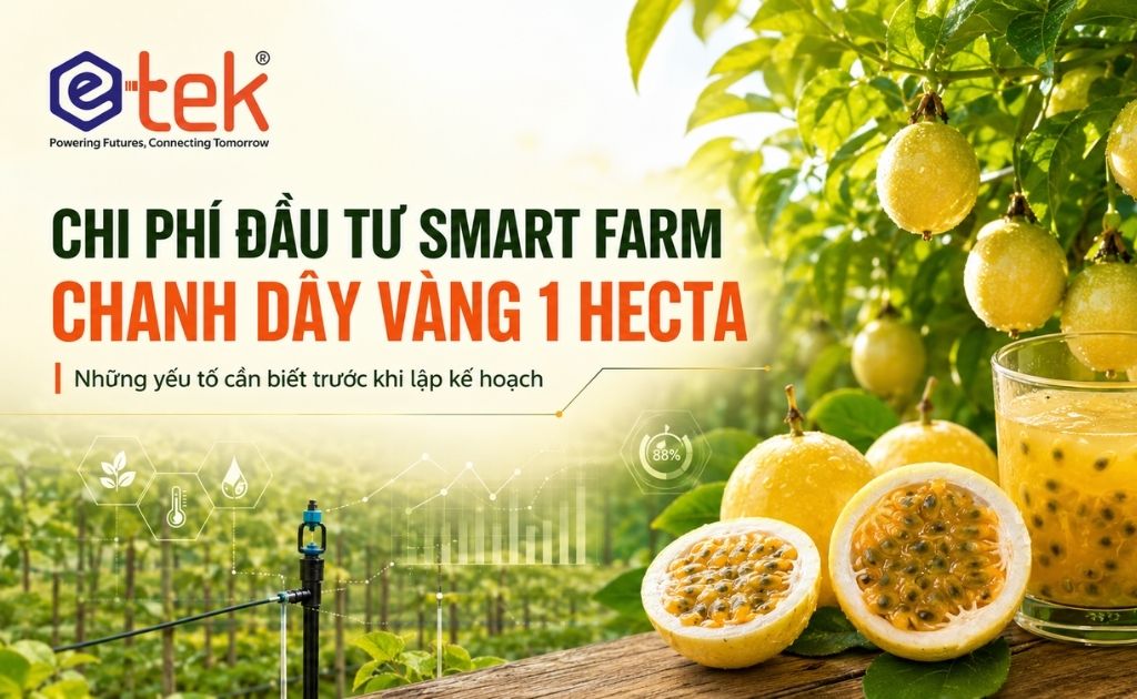 Đầu Tư Smart Farm Chanh Dây Vàng 1 Hecta Tốn Bao Nhiêu? Con Số Thật Từ ETEK